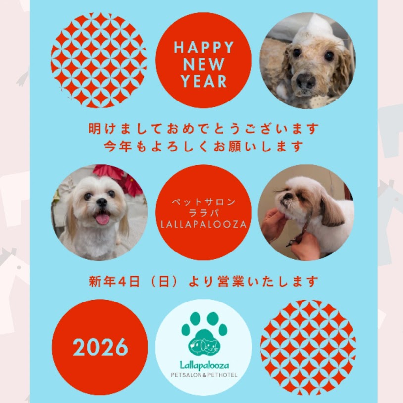 新年明けましておめでとうございます。